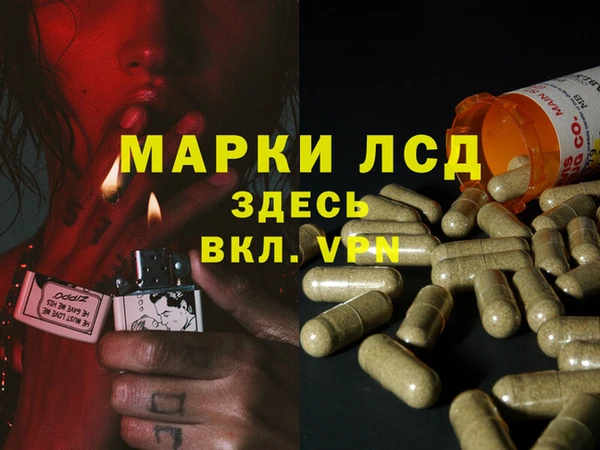 гидропоника Балабаново