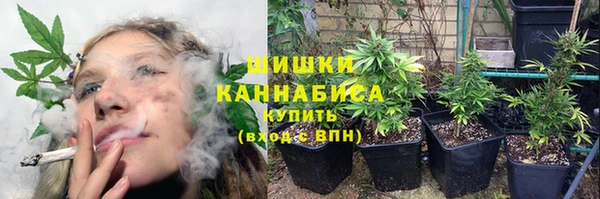 гидропоника Балабаново
