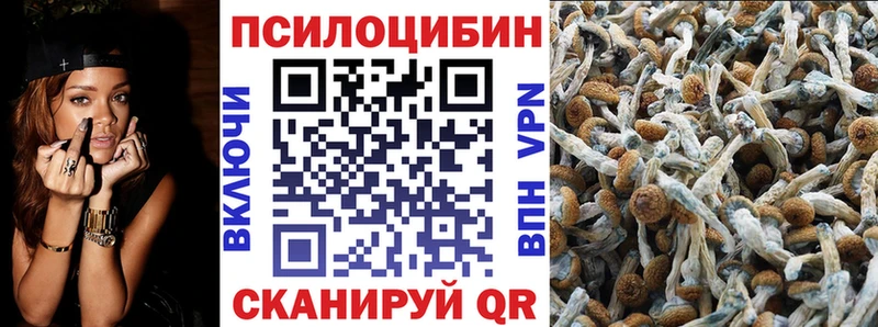 Псилоцибиновые грибы мицелий  Темрюк 
